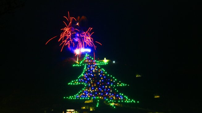 Най-голямото коледно дърво в света