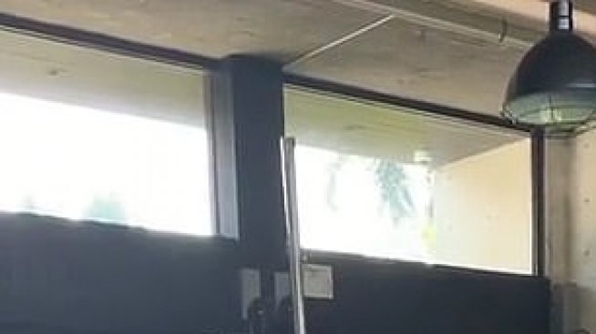 Атракция: Джей Ло на пилон, показва прелести