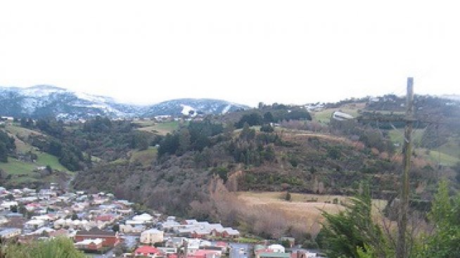 Улица „Болдуин“ – най-стръмната в света