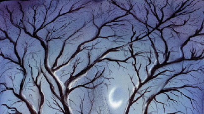 Тялото като изкуство