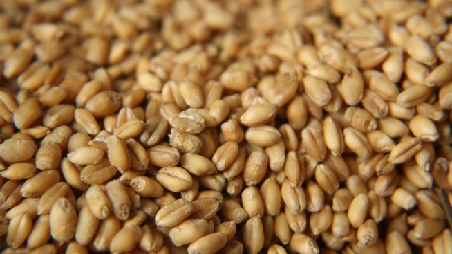 Подготовка за пролетта: Пречистване с житния режим