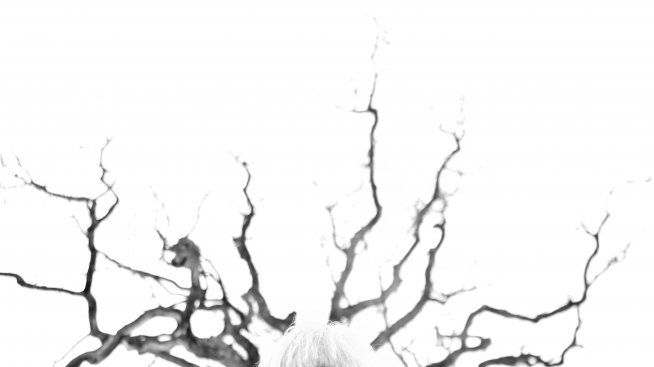 Северно сияние и южна жега на Sofia Vocal Fest