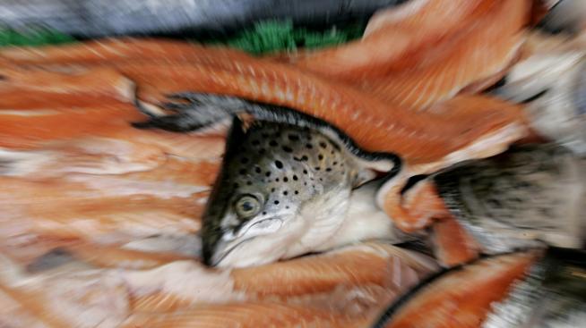 Как да се предпазите от напълняване в офиса