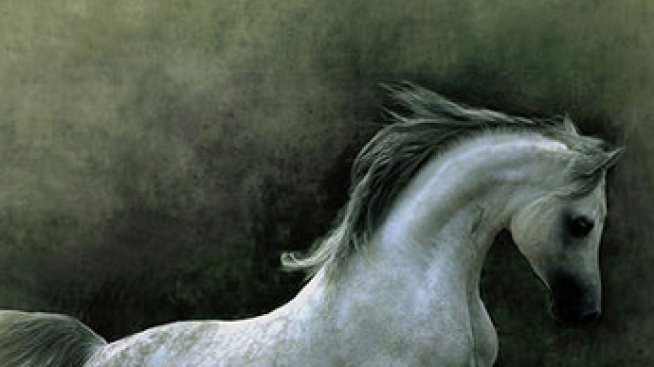 Най-изящната осанка в животинското царство