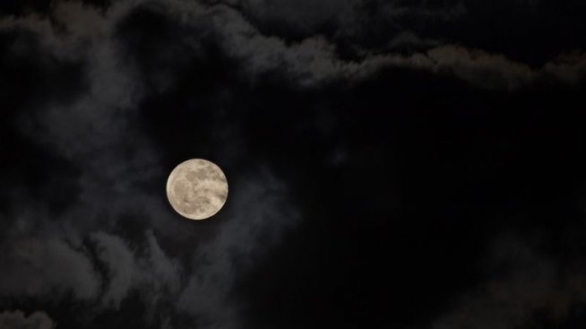 Доза мрак осигурява добро здраве