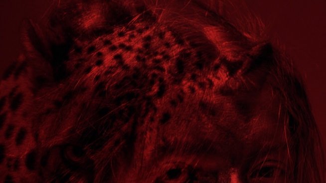 Когато дивото те зове