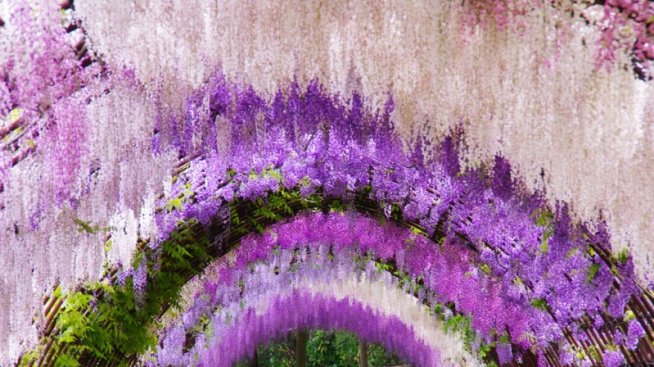 Японски рай от цветове и аромати