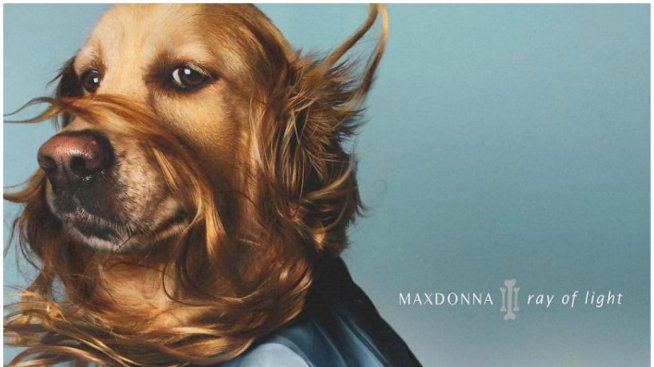 Фотограф създаде кучешки вариант на Мадона