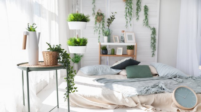 Цветя в дома – къде и как да ги поставите?