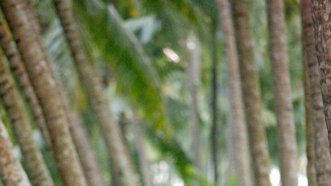 Защо изборът на работа вместо пътуване е загуба на време