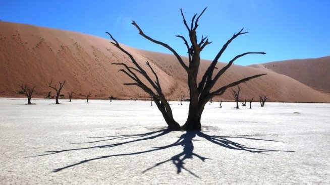 Магията на Намибия