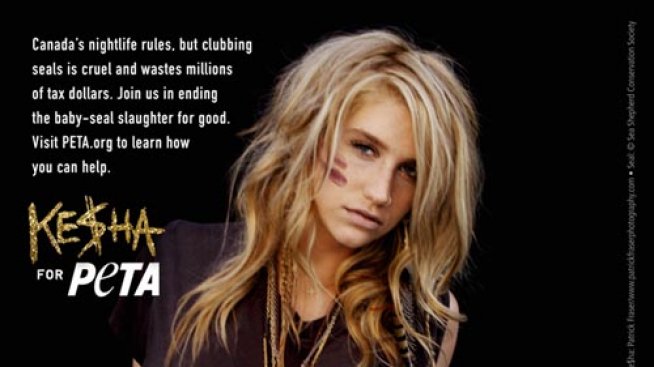 Кейша също защити тюлените