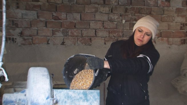 Жени Калканджиева ще се прави на Пепеляшка в кравеферма