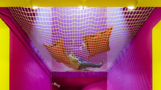 Цветна свежест в университетска атмосфера