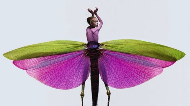 Хибрид между жена и насекомо