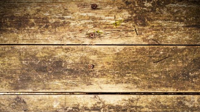 Най-необходимите обувки