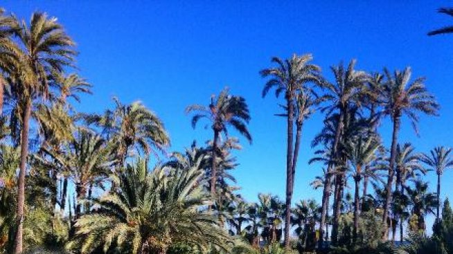 Градът на слънцето – на 3 часа от София от 25 април с „България Ер“