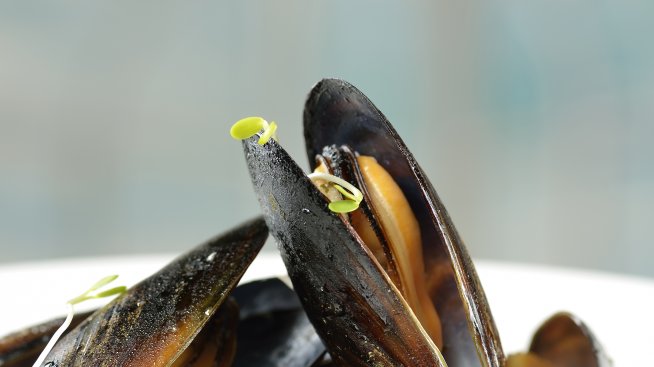 Освен вкусни и полезни, мидите могат да бъдат и опасни