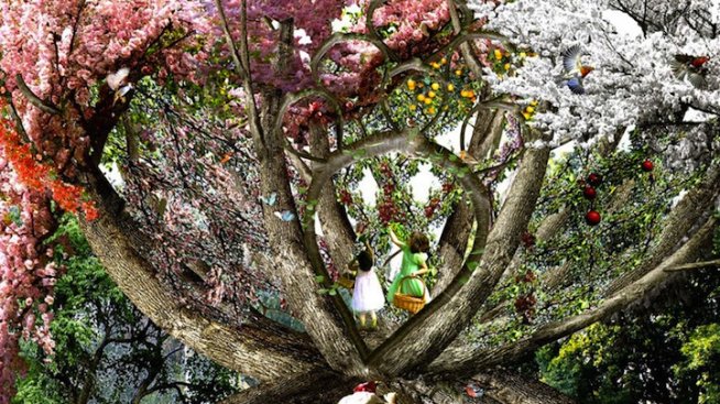 Проект "Търпеливият градинар"