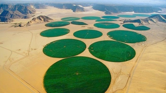 Чудатата ферма в сърцето на пустинята на Йордания