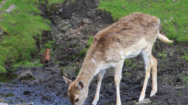 Пийвай ... за да помниш