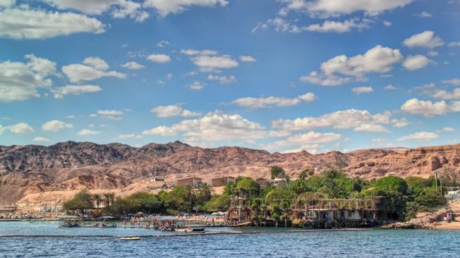 В Ейлат делфините ви канят в своя свят