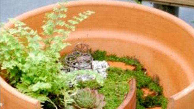 Счупени саксии живеят нов живот