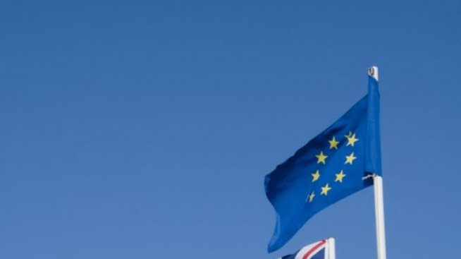 Политиците са най-големите дразнители