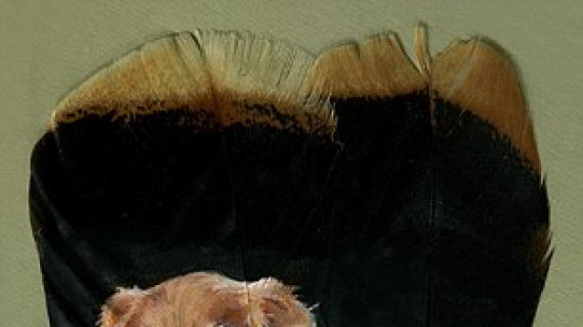 Портрети на животни върху пера