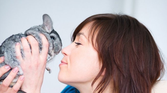 Четири уникални домашни любимци