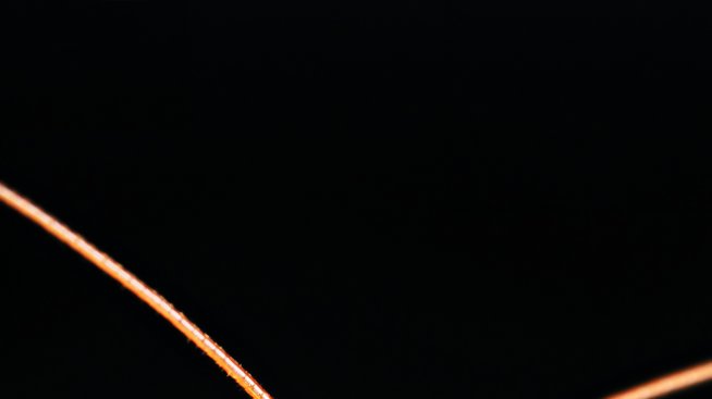 Може ли насекомите да се превърнат в новата супер храна?