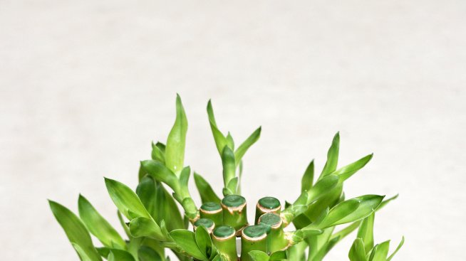 Как да увеличите положителните вибрации в дома си?