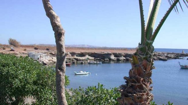 Ларнака – древният кипърски оазис