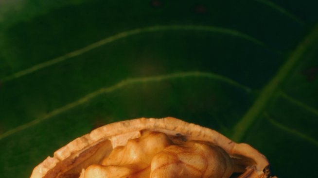 Нека бъдат орехите!