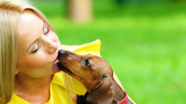 Как вашето куче ви прави по-добър човек