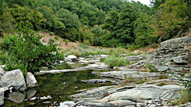 На риба по реките Арда, Марица и язовир Ивайловград