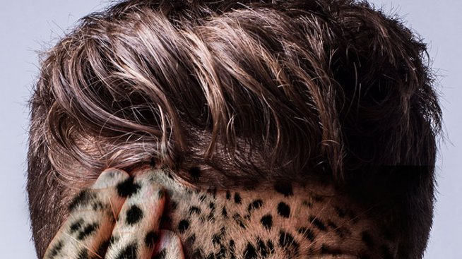 Бруталната истина, криеща се зад зоопарковете