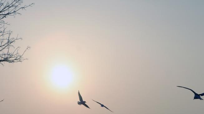 Aнатомия на един любовен скандал