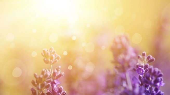 Домашна маска с лавандула