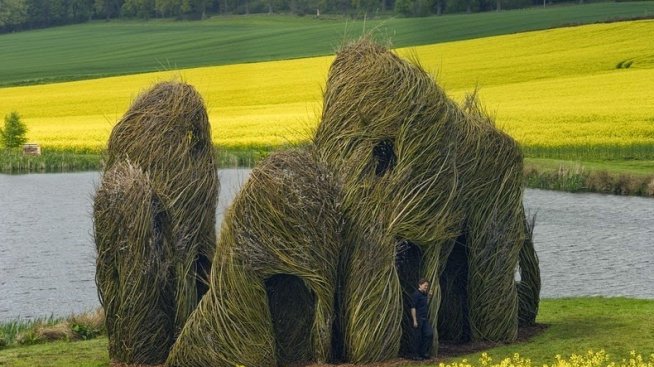 Невероятни скулптури от паднали клони