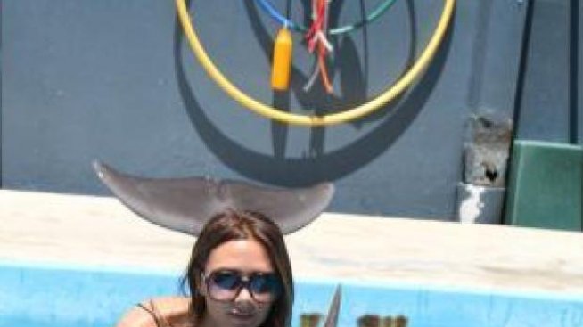 Делфини смекчиха сърцето на г-жа Бекъм