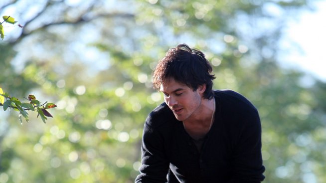 Знаменитостите, които обичат дивите животни