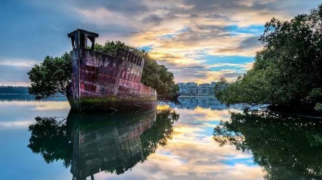 Плаващата гора на Сидни