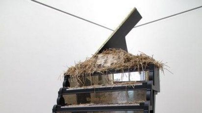 Пиана с изумителен дизайн