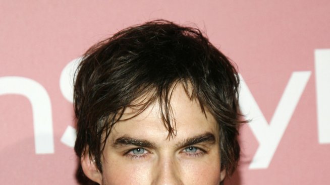 Иън Сомърходър ще прави приют за животни