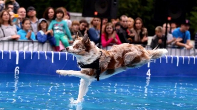 Снимки, направени секунда преди неизбежното