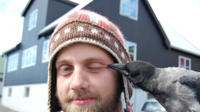 Забавни инциденти, които не виждаме всеки ден