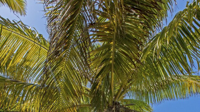 Какво не знаете за Хондурас