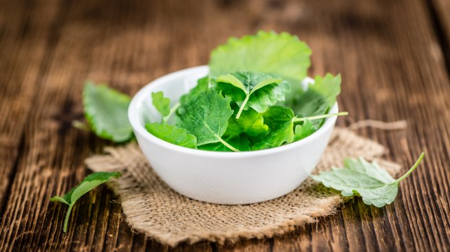 Маточина – билката, която успокоява