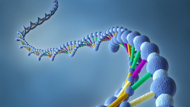 Спасете ДНК-то и клетките си в 5 стъпки